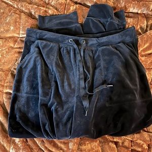 Anthro Saturday Sunday velour joggers